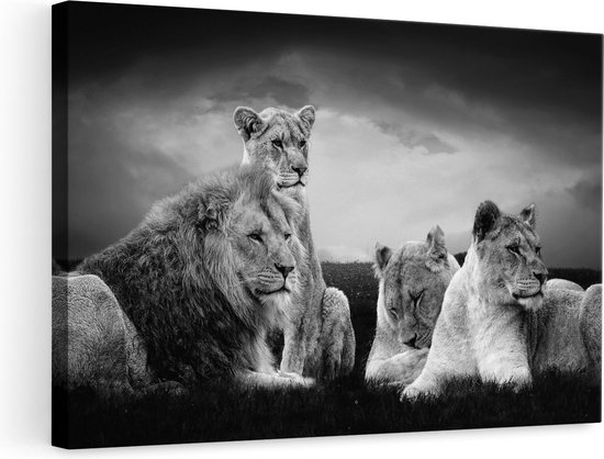 Artaza Canvas Schilderij Leeuwen Familie in Afrika - Leeuw - Zwart Wit - 90x60 - Foto Op Canvas - Canvas Print - Muurdecoratie