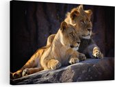 Artaza - Peinture sur Toile - Lion et Lionne assis l'un à côté de l'autre - 90x60 - Photo sur Toile - Impression sur Toile