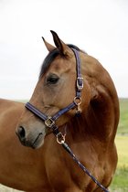 Halster GoLeyGo systeem - maat Pony - blue/caramel