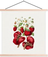 Porte-affiche avec affiche - Affiche scolaire - Fraises - Fruits - Nourriture - 120x120 cm - Lattes vierges