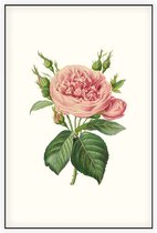 Roos Aquarel (Rose) - Foto op Akoestisch paneel - 60 x 90 cm