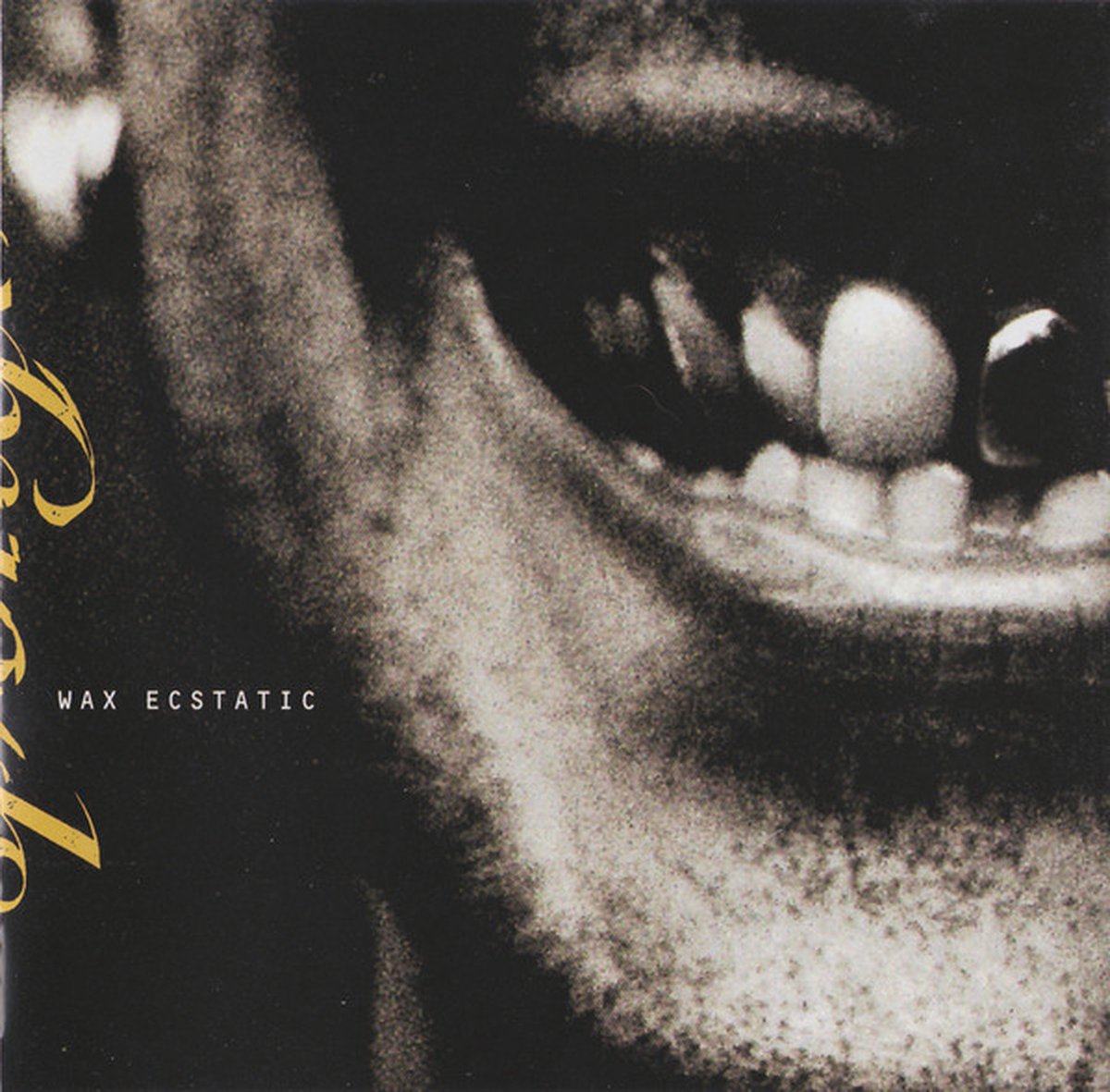Wax Ecstatic