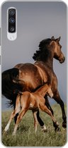 Geschikt voor Samsung Galaxy A70 hoesje - Dieren - Paarden - Veulen - Siliconen Telefoonhoesje