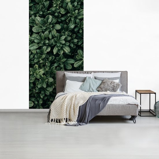 Papier Peint - Papiers Papier peint photo Feuilles - Plantes - Nature - Largeur 120 cm x Hauteur 240 cm