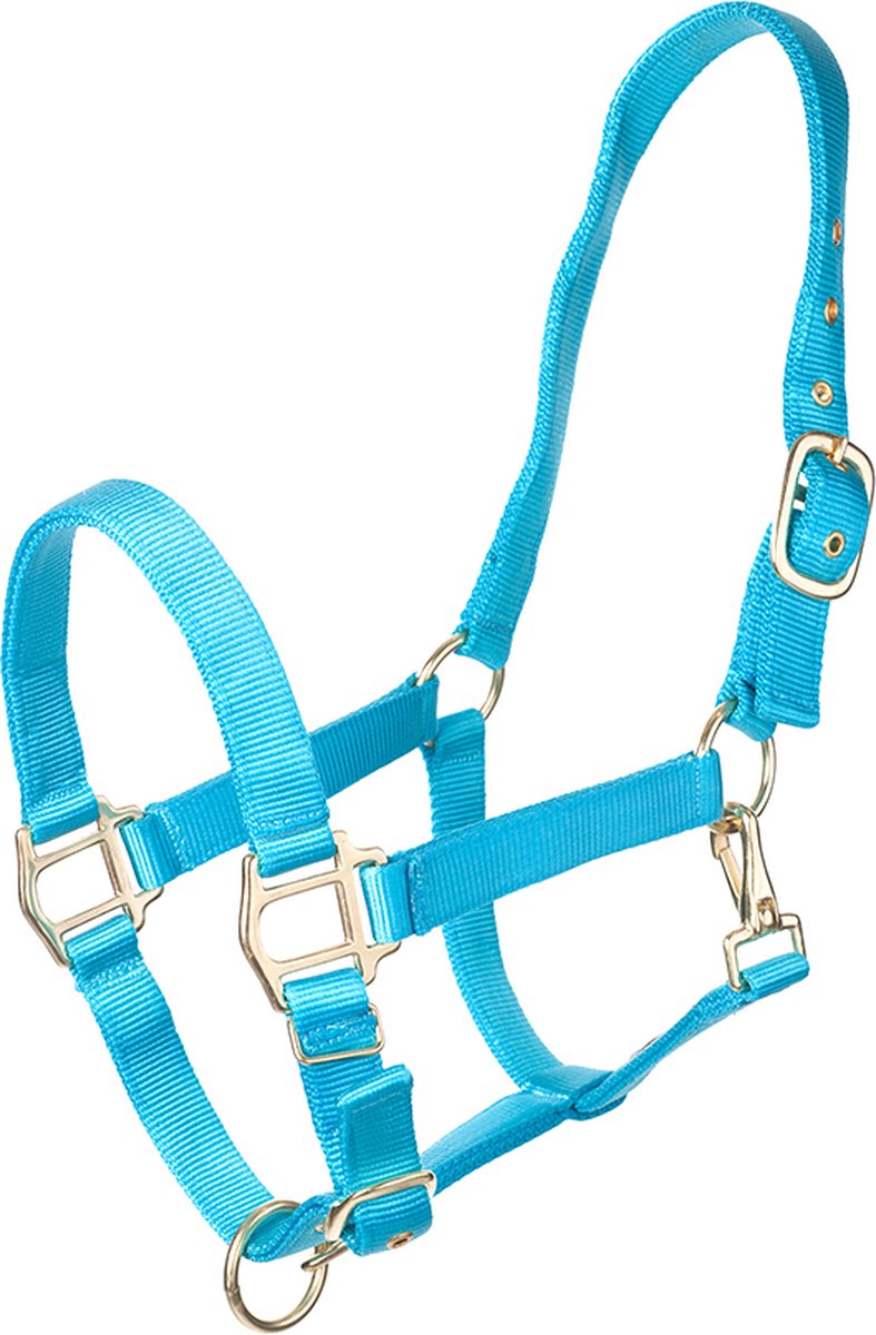 MHS Halster Fancy Aqua Full