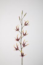 Kunstbloem Orchidee - topkwaliteit decoratie - Paars - zijden tak - 94 cm hoog