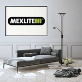 Mexlite - Vloerlamp Biron H 180 cm DIM zwart