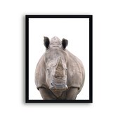 Poster Jungle / safari neushoorn hoofd / Jungle / Safari / 30x21cm