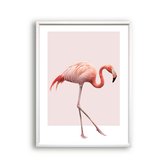 Poster Lopende flamingo - Roze / Zomers / 70x50cm