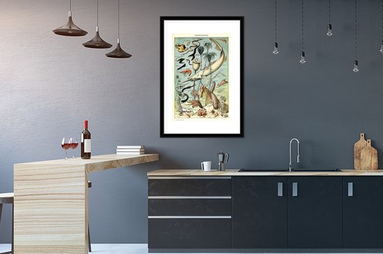 Cadre photo avec affiche - Mer - Animaux - Animaux aquatiques - 60x90 cm - Cadre pour affiche