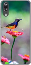 Geschikt voor Huawei P20 hoesje - Close-up van een kolibrie op roze bloemen - Siliconen Telefoonhoesje