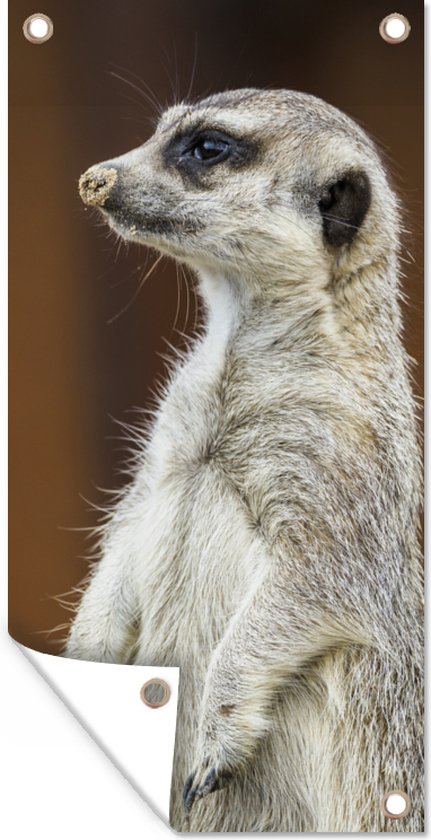 Garosa Statue De Jardin De Panda Ornements De Panda De Simulation