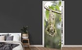 Deursticker Een luiaard hangt in de bomen op de kop - 75x205 cm - Deurposter