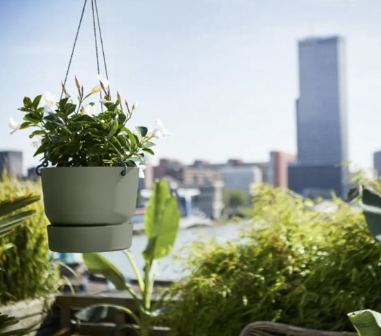 Groene hangpot met witte bloemen, buiten in de zon met stad op achtergrond.