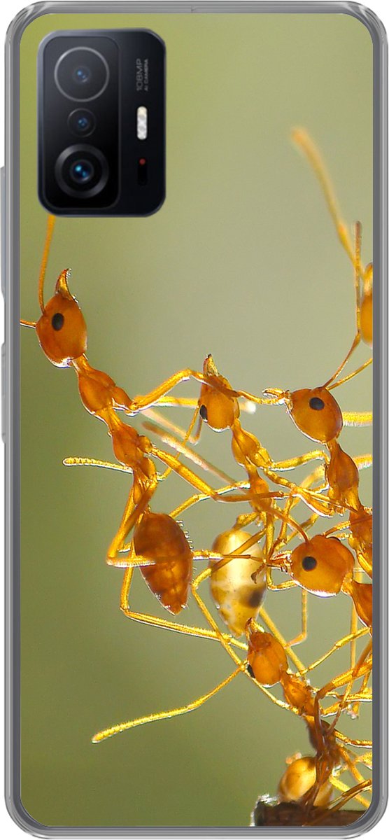 Geschikt voor Xiaomi 11 Lite 5G NE hoesje - Mieren - Oranje - Dieren - Siliconen Telefoonhoesje