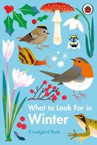 A Ladybird Book - What to Look For in Winter