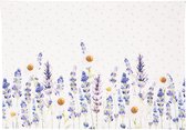 Clayre & Eef Placemats Set van 6 48*33 cm Wit, Paars 100% Katoen Rechthoek Lavendel Tafelmat
