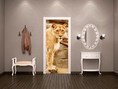 Luxe Deursticker Leeuwin - bruin - Sticky Decoration - deurposter - decoratie - woonaccesoires - op maat voor jouw deur