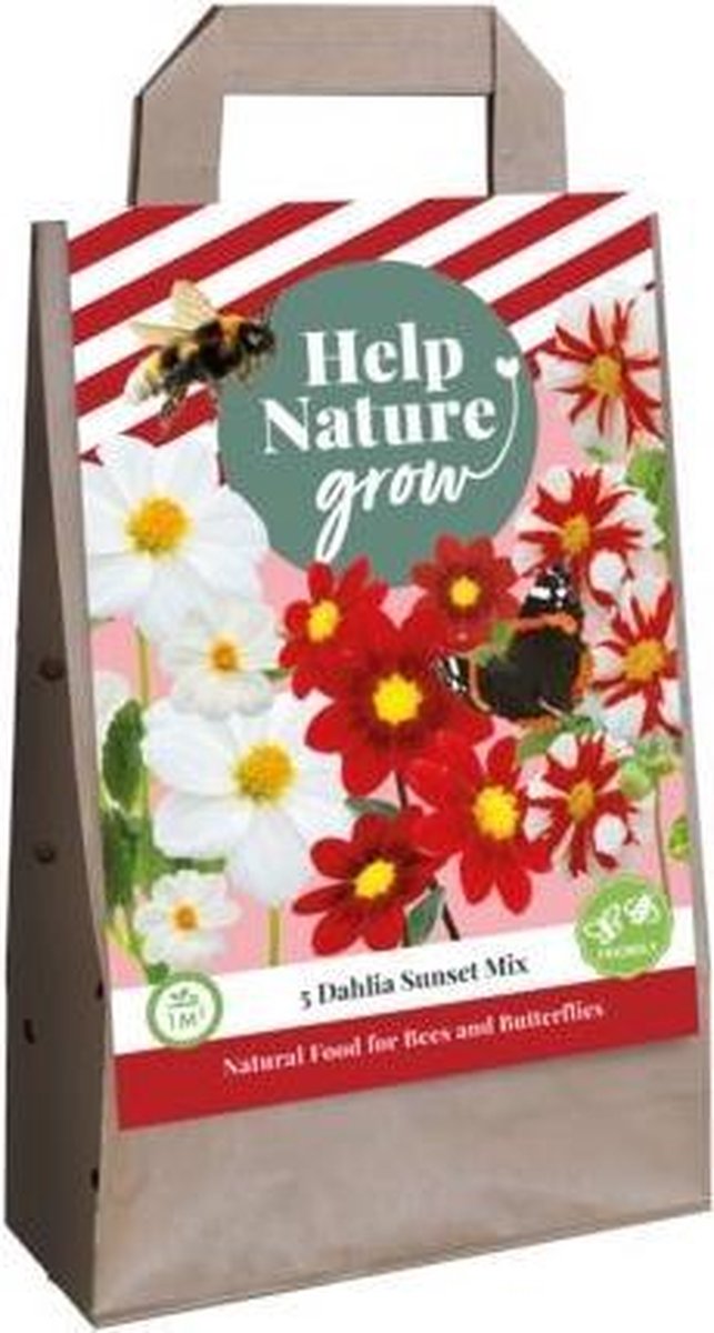 1 Tas 5 Dahlia Sunset Mix - Help Nature Grow
