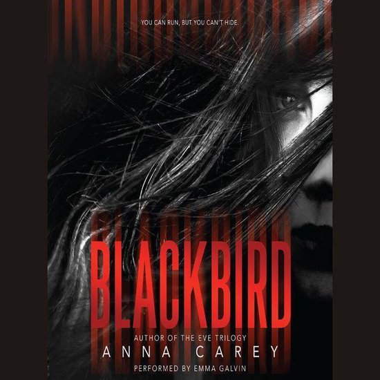 Blackbird - cover