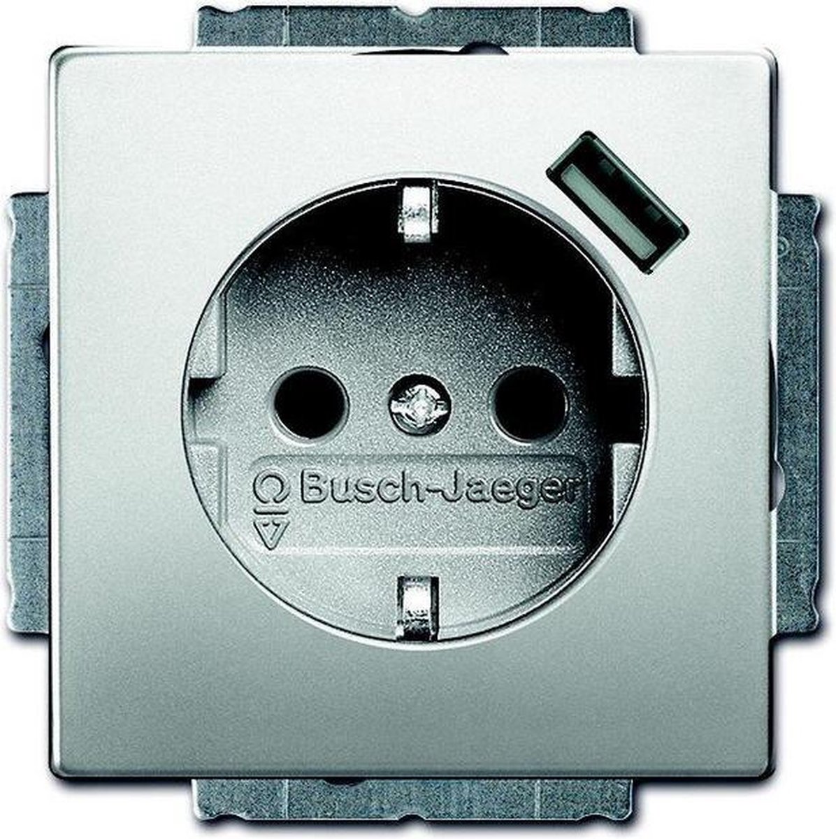 ABB Busch-Jaeger wandcontactdoos met randaarde en USB voeding - Pure stainless steel (20 EUCBUSB-866 BJ) - wandcontactdoos