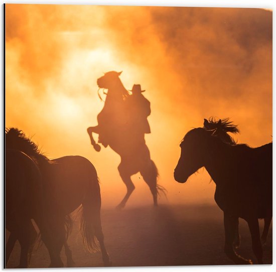 Dibond - Cowboy op Steigerend Paard - 50x50cm Foto op Aluminium (Wanddecoratie van metaal)