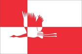 Vlag gemeente Cranendonck 70x100 cm