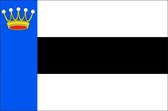 Vlag gemeente Heerenveen 150x225 cm