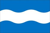 Vlag gemeente Maassluis 200x300 cm