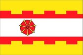 Vlag gemeente Zederik 200x300 cm