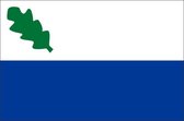 Vlag gemeente Oirschot 150x225 cm