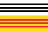 Vlag gemeente Loon op Zand 100x150 cm