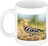 Dieren foto mok hop vogel - vogels beker wit 300 ml