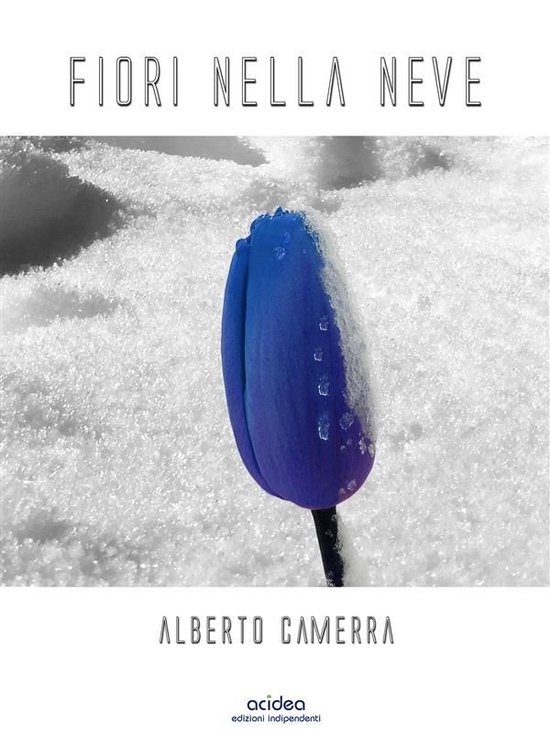 Fiori nella Neve - cover