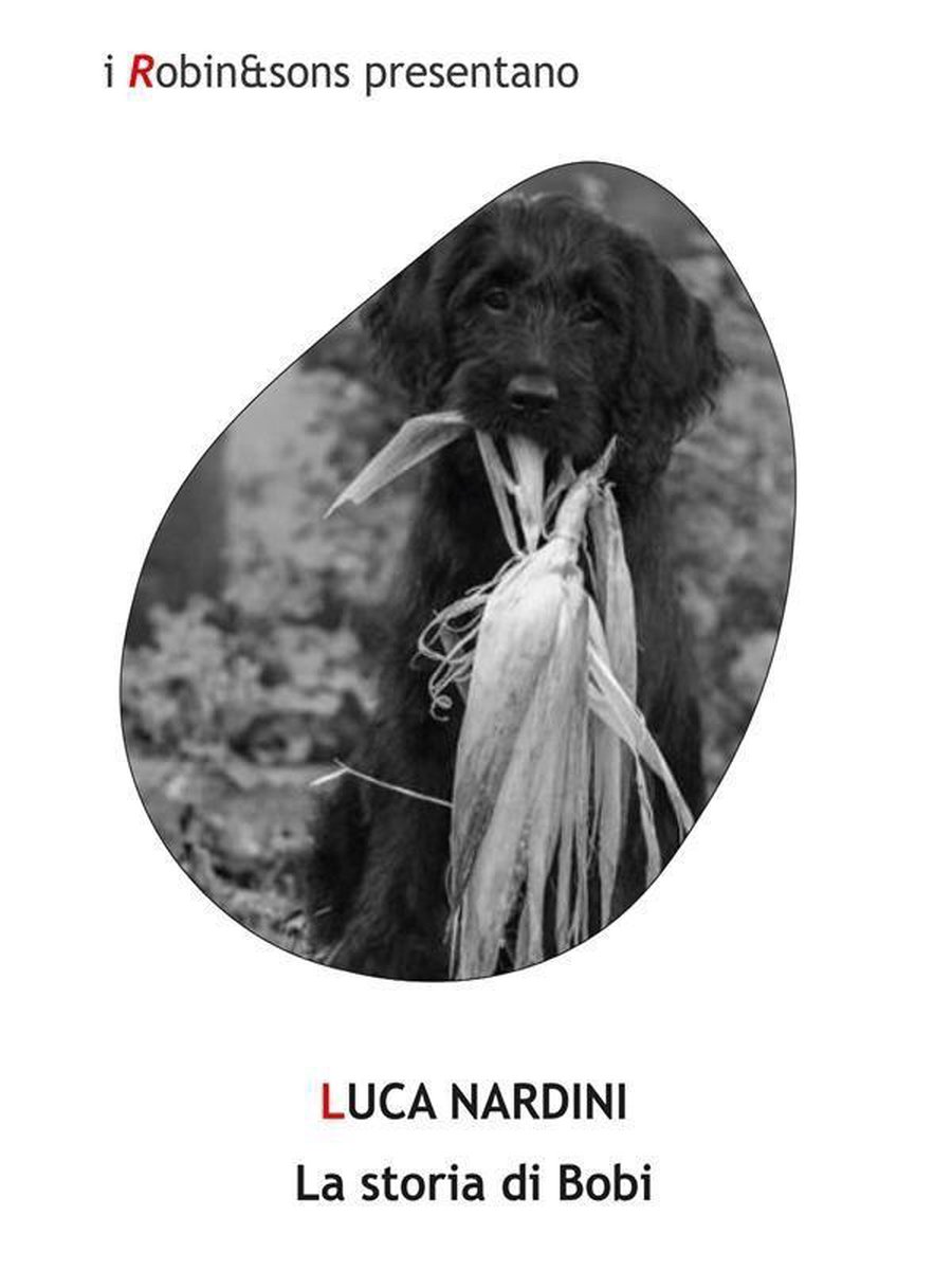 Robin&sons - La storia di Bobi - Luca Nardini