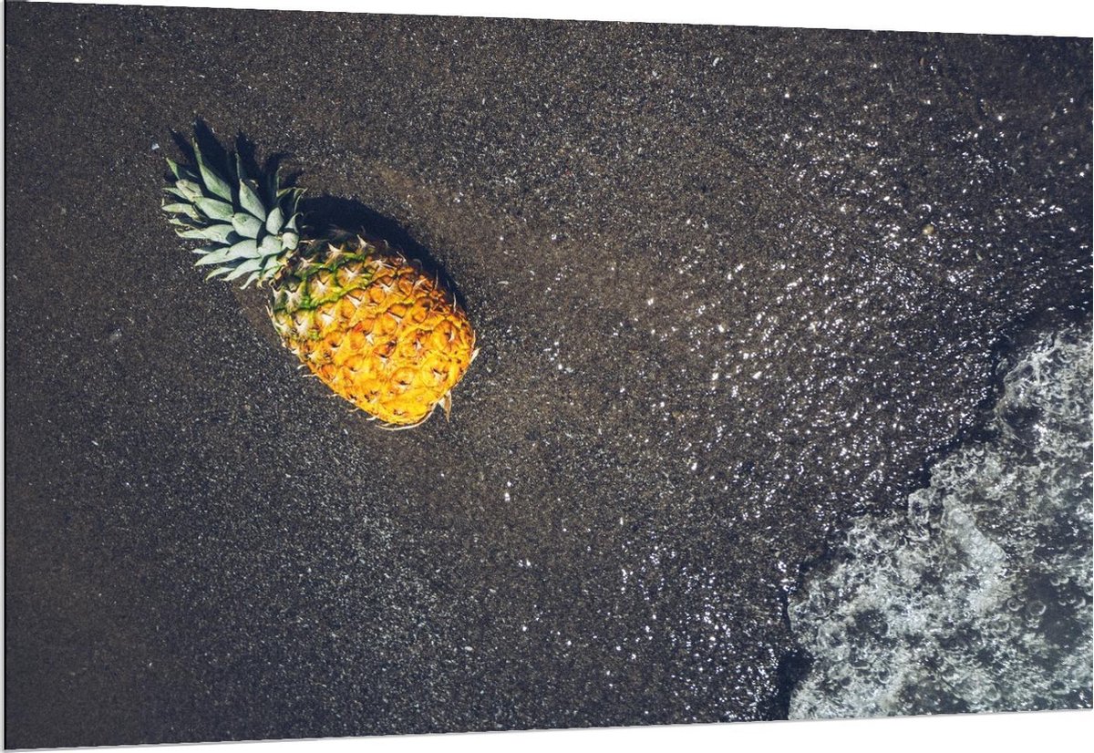 Dibond - Ananas bij het Water - 150x100cm Foto op Aluminium (Met Ophangsysteem) op Prijzenvolger.com