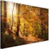 Schilderij Bladeren op een bospad, 2 maten, multi-gekleurd, Premium print