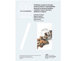 Problemas actuales de derecho penal económico, responsabilidad penal de las personas jurídicas, compliance penal y derechos humanos y empresa