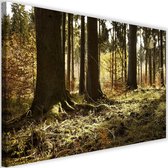 Schilderij In het bos, 2 maten, bruin/groen, Premium print