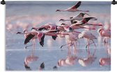 Wandkleed Flamingo  - Roze flamingo's op het water Wandkleed katoen 120x80 cm - Wandtapijt met foto