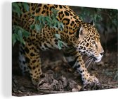 Jaguar rampant en toile forêt 2cm 90x60 cm - Tirage photo sur toile peinture (Décoration murale salon / chambre) / animaux sauvages Peintures sur toile