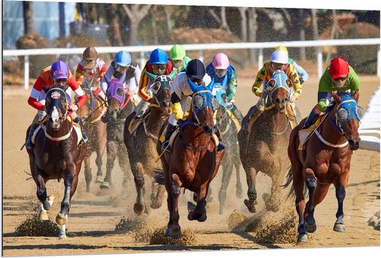 Dibond - Racewedstrijd Paarden - 120x80cm Foto op Aluminium (Met Ophangsysteem)