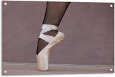 Tuinposter – Ballerina met Spitzen en Panty - 90x60cm Foto op Tuinposter  (wanddecoratie voor buiten en binnen)