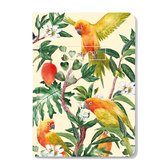 Creative Lab Amsterdam stationery - Notitieboek - Go Go Mango design - A5 formaat