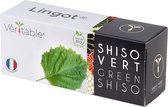 Véritable® Lingot® Organic green Shiso - BIO AZIATISCHE GROENE SHISO navulling voor alle Véritable® binnenmoestuin-toestellen