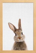 JUNIQE - Poster in houten lijst Baby konijn kleurenfoto -40x60 /Bruin