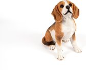 zittende  Beagle