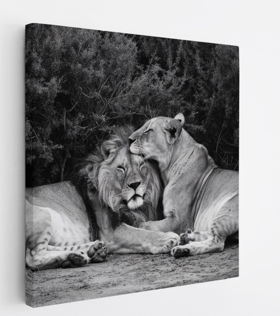 Saammp Canvas Schilderij - Leeuwen koppel tussen de planten - Dieren - Natuur - 40x40 - Foto op canvas - Wanddecoratie - Muurdecoratie Woonkamer - Slaapkamer decoratie - Canvas Print Multicolor