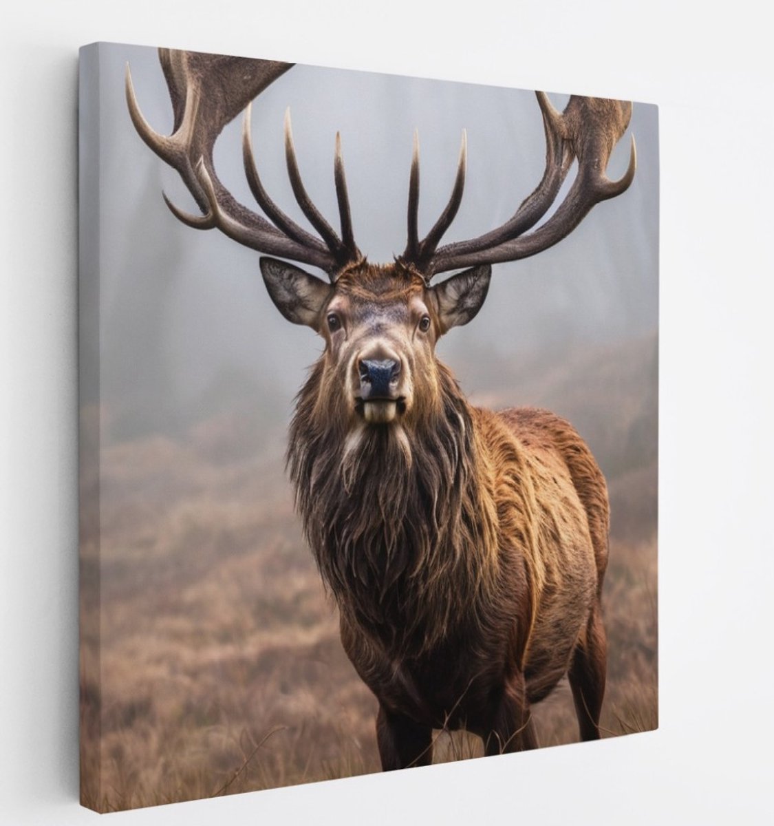 Saammp Canvas Schilderij - Hert in de mist - Dieren - 20x20 - Foto op canvas - Wanddecoratie - Muurdecoratie Woonkamer - Slaapkamer decoratie - Canvas Print Multicolor