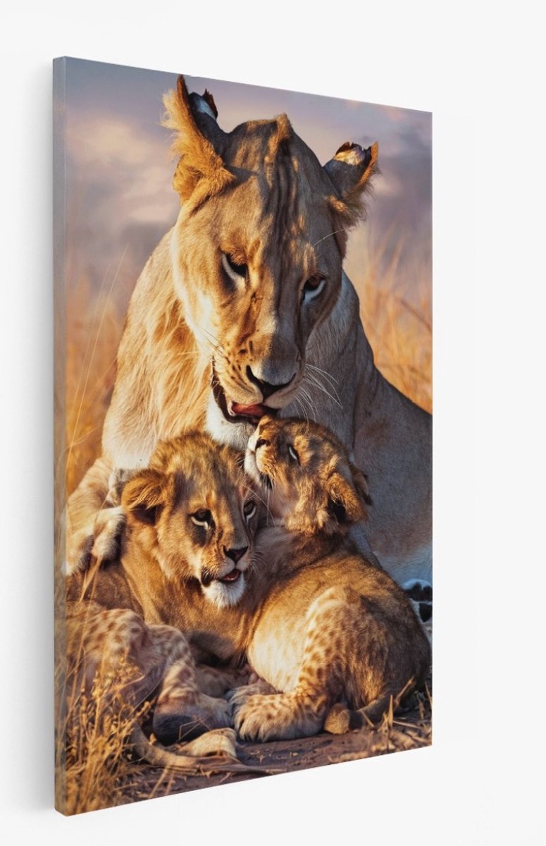 Saammp Canvas Schilderij - Leeuwen familie - Natuur - Dieren - 20x30 - Foto op canvas - Wanddecoratie - Muurdecoratie Woonkamer - Slaapkamer decoratie - Canvas Print Multicolor